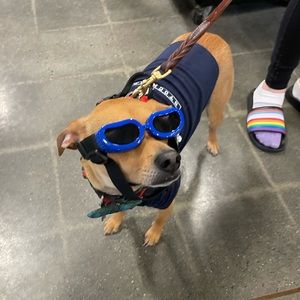 Meet your Posher, Gillian